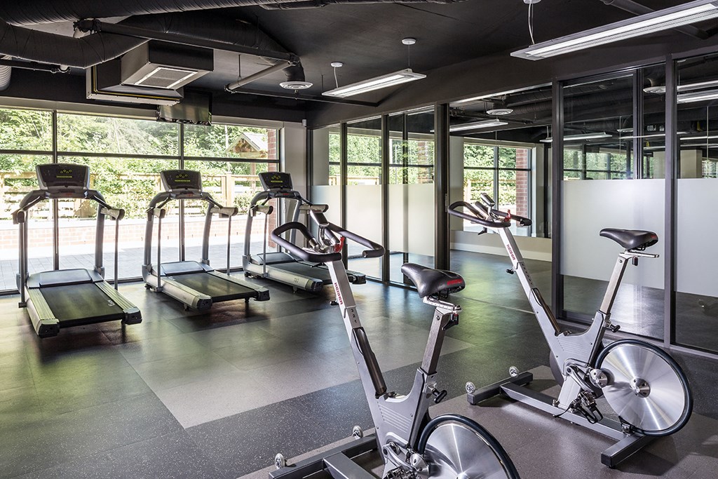 A gym with treadmills, exercise bikes, and elliptical machines.