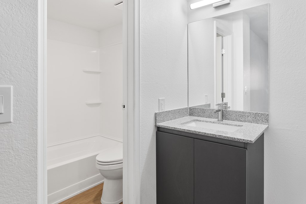 A bathroom with a white toilet and a sink with a mirror above it.