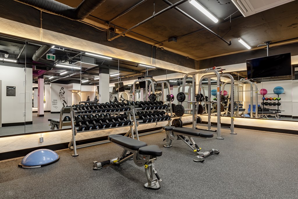 A gym with a variety of equipment including dumbbells, weight plates, and a bench press.