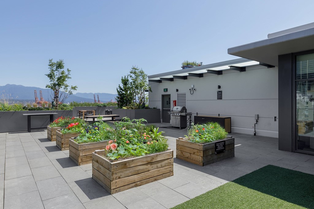 A patio with a table and chairs surrounded by wooden planters.