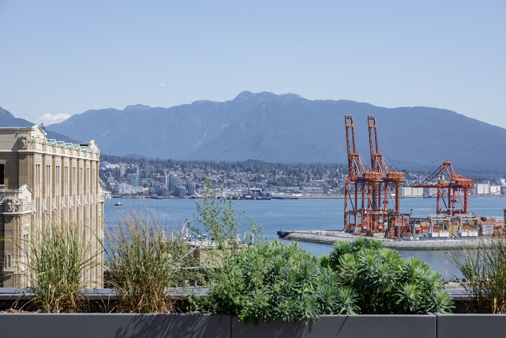 A large body of water with a mountain in the background and a large crane in the foreground.