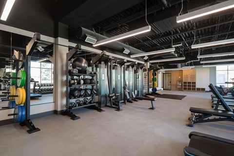 a fitness room with weights and cardio equipment and a large window