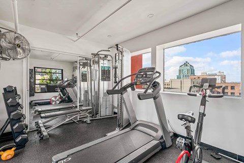 A gym with treadmills, weights, and exercise bikes.
