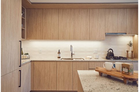 A modern kitchen with wooden cabinets and a marble countertop.
