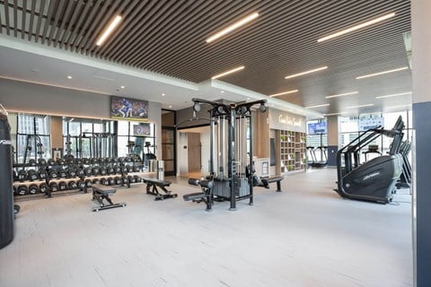 Fitness center with free weights and cable machines at Onni Fulton Market Apartments, Chicago, IL