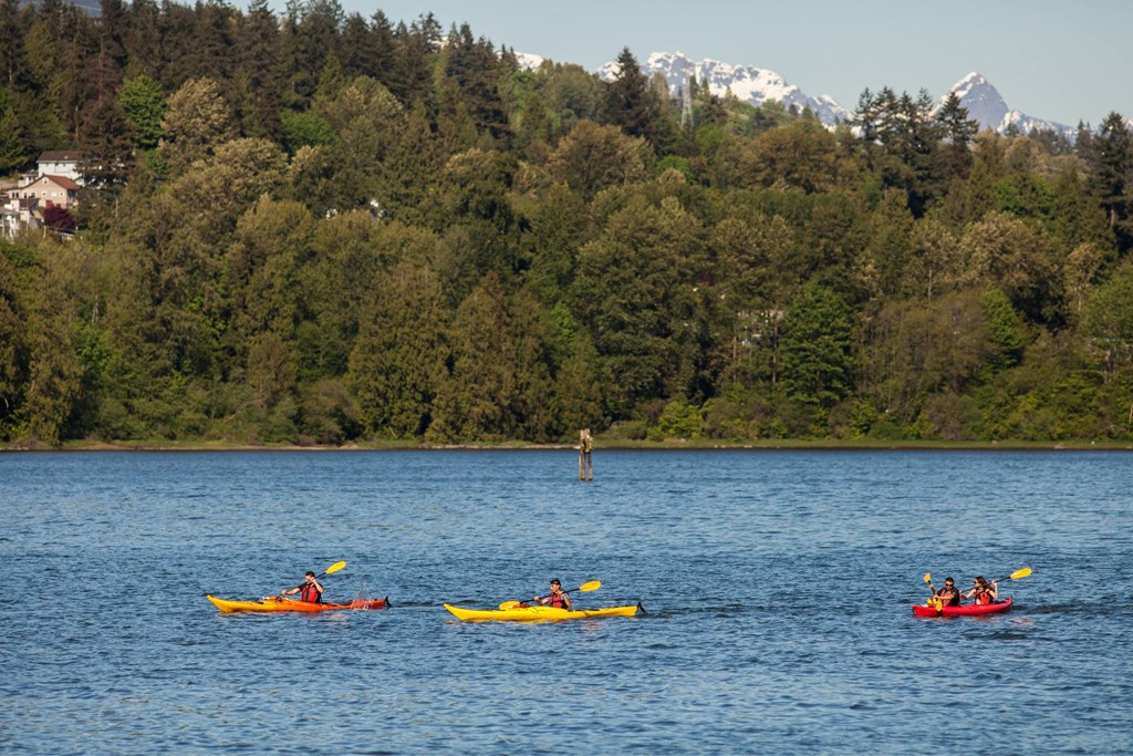 A group of people kayaking on a lake with a forested mountain in the background.