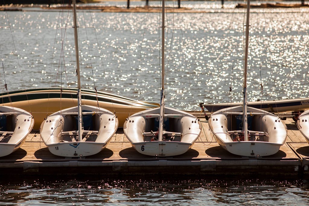 A row of sailboats are docked at a pier.