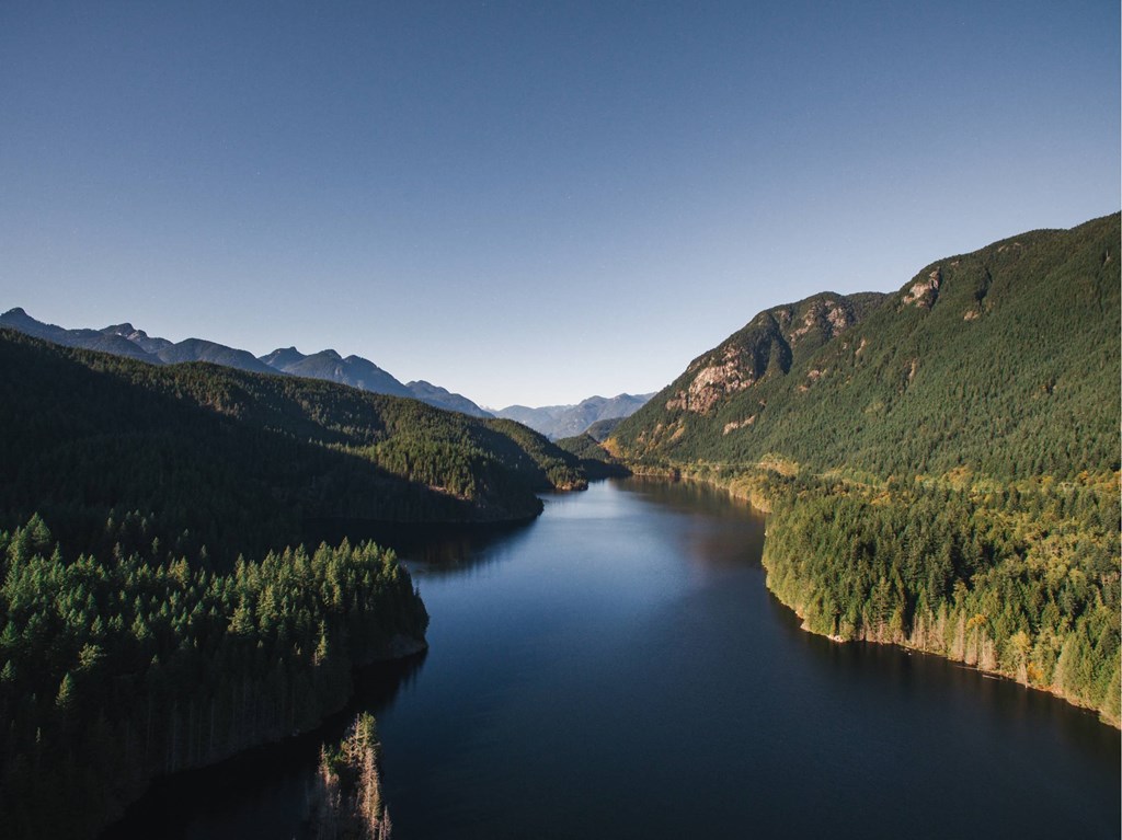 A river flows through a forest with mountains in the background.