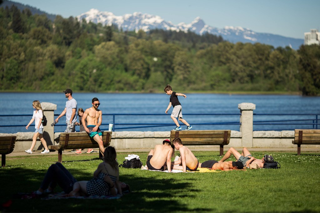 A group of people are relaxing on a sunny day by the water.