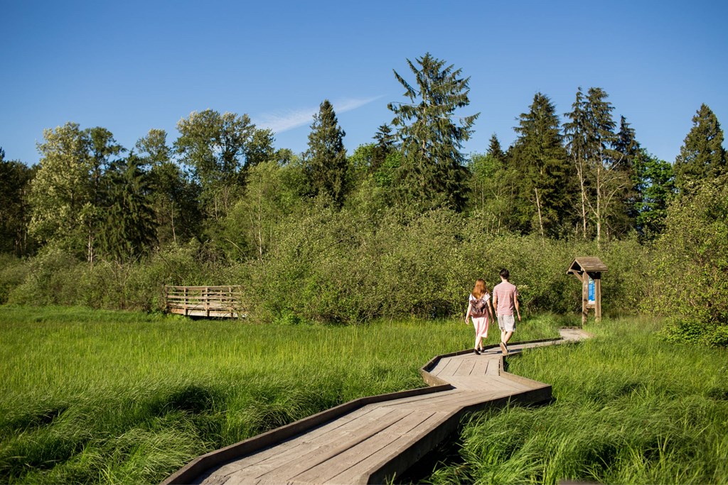 Two people walking on a wooden boardwalk through a grassy area.