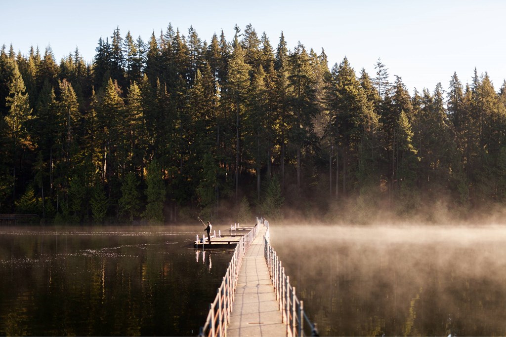 A wooden dock extends into a lake with a person standing at the end.