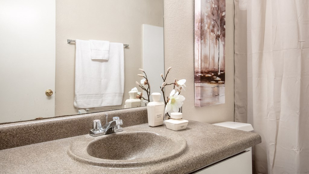 a bathroom with a sink and a mirror