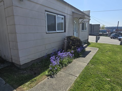 A beige house with a window and a bush with purple flowers in front.
