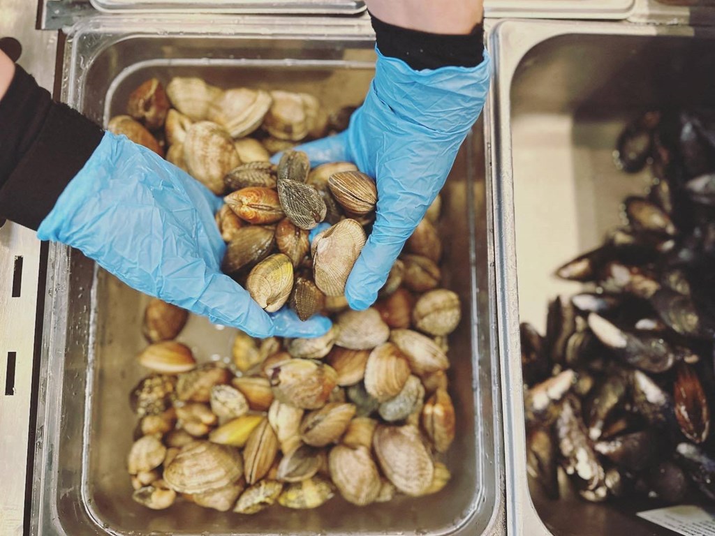 a pair of hands wearing blue gloves hold a tray of pistachios at Rivulet, Washington, 98383