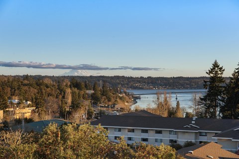 A view of a residential area with a mountain in the distance.