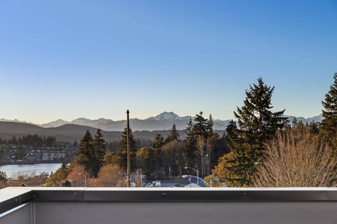 A view of a snowy landscape with trees and mountains in the distance.
