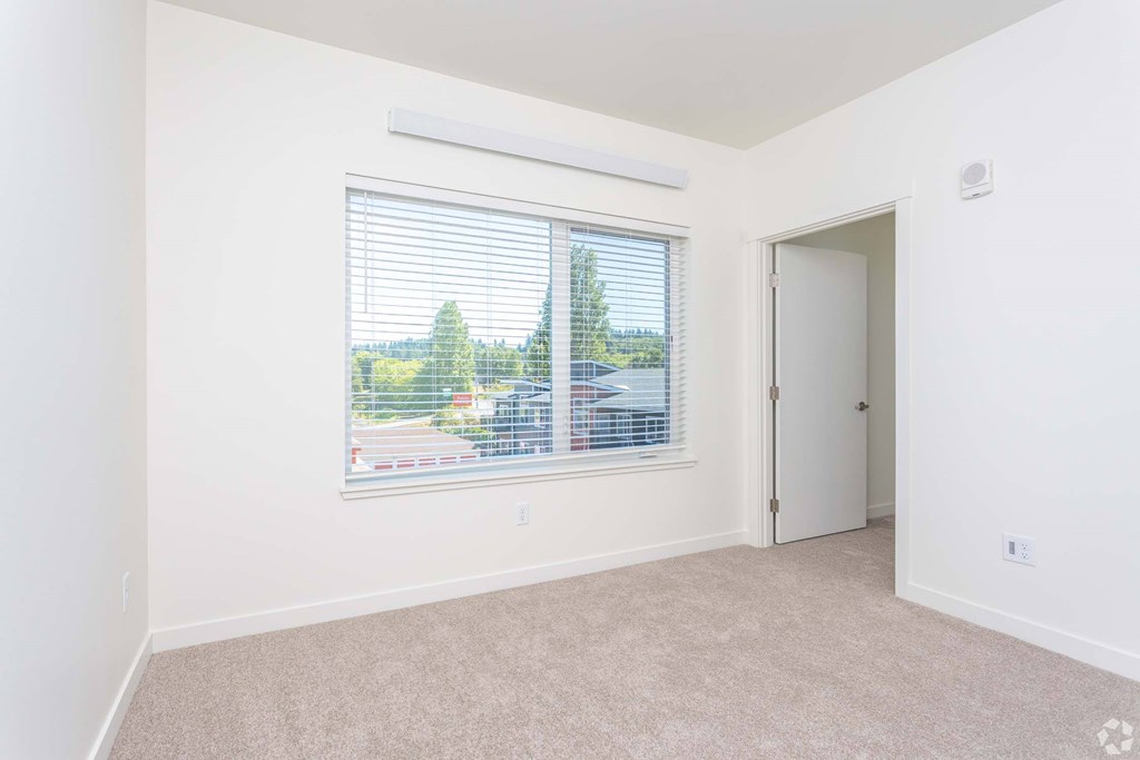 Plush Carpeting at Plisko Place, Port Orchard, 98366