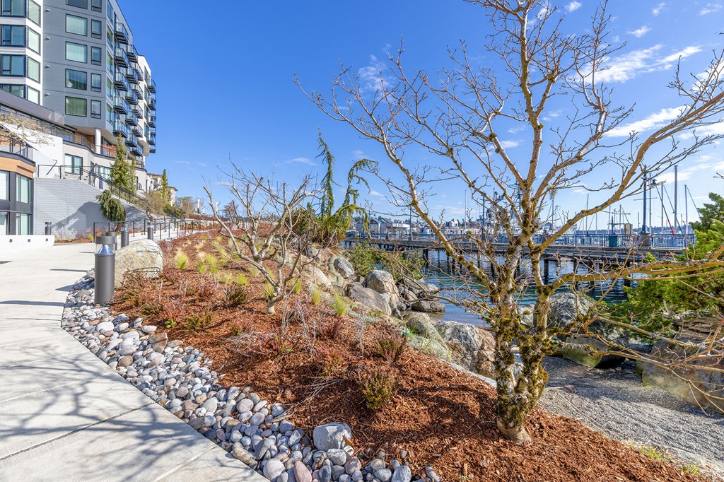 a view of a river from Marina Square Apartments with a bridge in the background and trees in the foreground at Marina Square, Bremerton, Washington 98337