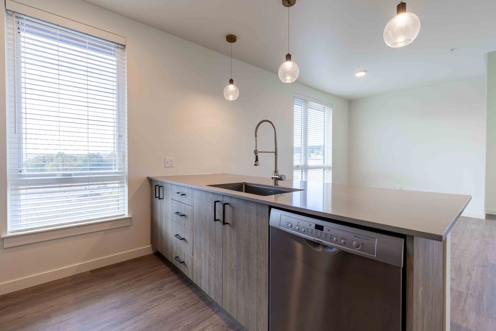 a kitchen with a stainless steel dishwasher and a counter top at Rivulet, Silverdale, WA