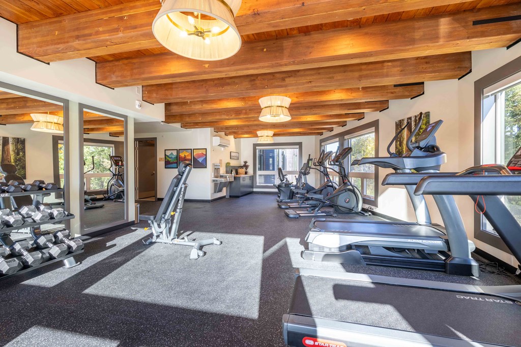 the gym has plenty of cardio equipment and windows at Rivulet, Washington