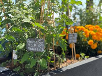 A sign in a garden requests people to help themselves  at Spyglass Hill Apartments, Bremerton, 98337