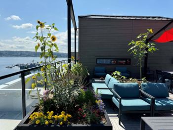 A balcony with a table, chairs and a planter with flowers  at Spyglass Hill Apartments, Bremerton, 98337