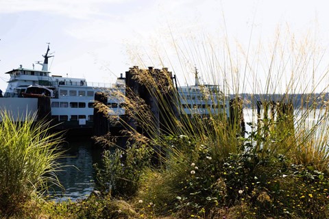 A large white boat is docked at a pier  at Spyglass Hill Apartments, Bremerton, 98337