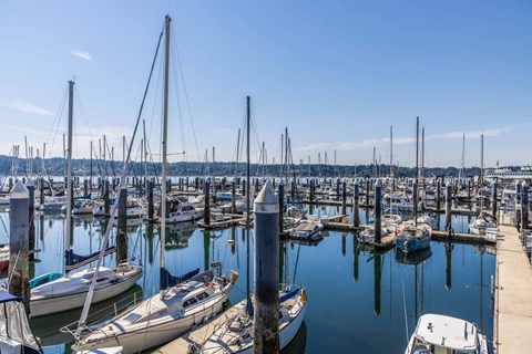 A marina with several boats docked at the pier at Spyglass Hill Apartments, Bremerton, 98337
