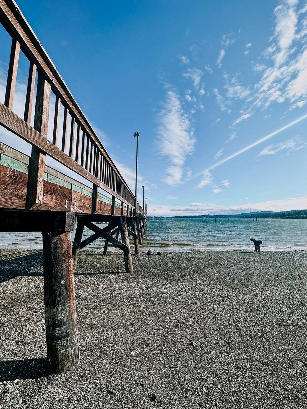 a wooden pier on a pebble beach with a dog in the distance at Rivulet, Silverdale, WA