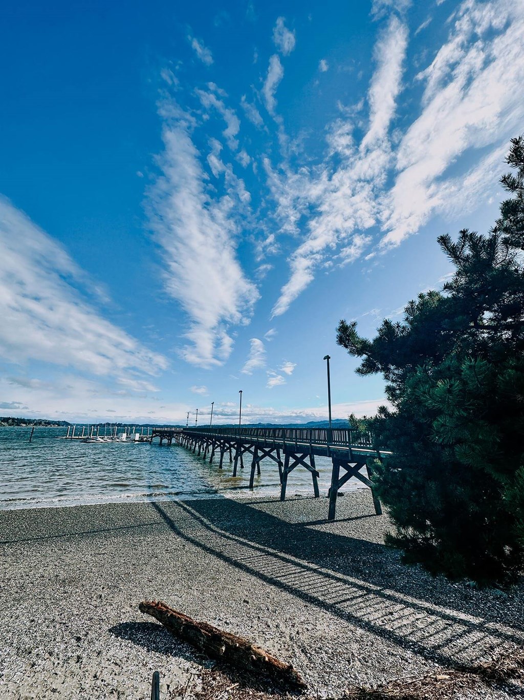 a pier on a sunny day with a tree in the foreground at Rivulet, Washington