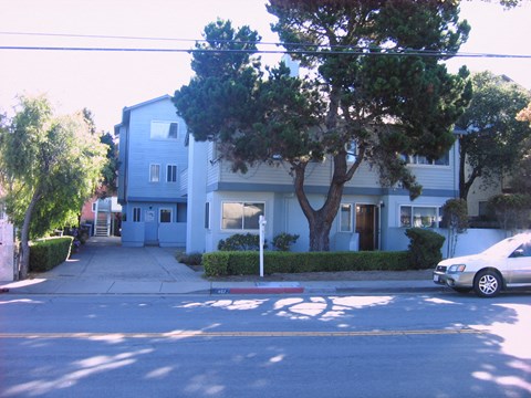 a white building with a tree in front of it on a street