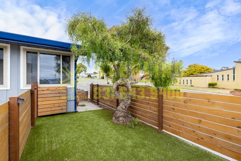 A backyard with a wooden fence and a green lawn.