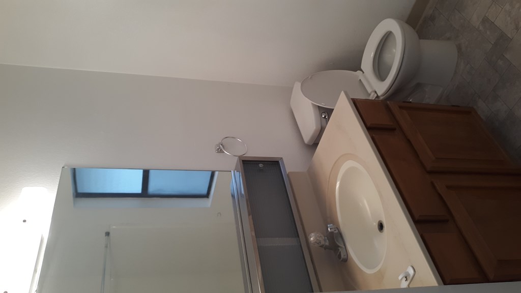 A bathroom with a toilet, sink, and skylight.