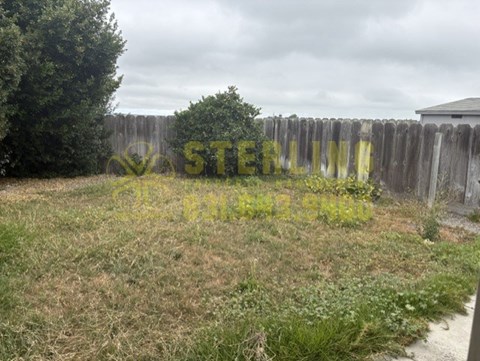 A backyard with a wooden fence and overgrown grass.