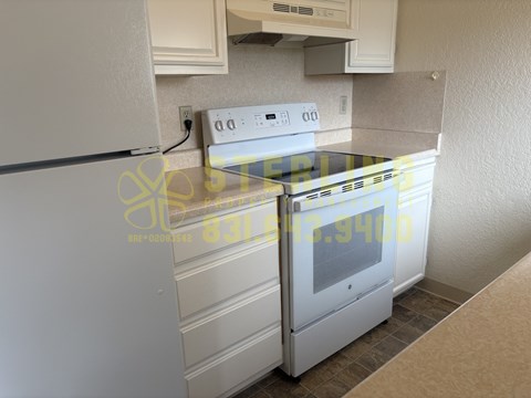 A white fridge and oven in a kitchen.