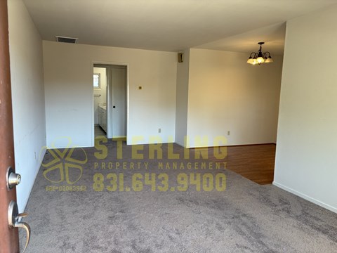 A room with a carpeted floor and a doorway leading to another room.