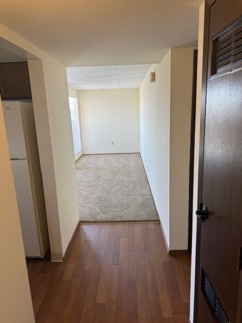 A hallway with a rug and wooden floors.