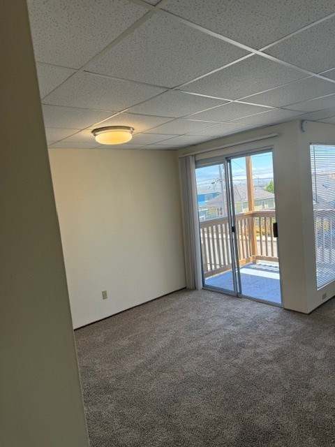 A room with a carpeted floor and a sliding glass door leading to a balcony.