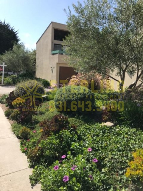 127 Montecito Avenue #09 2 Beds Apartment for Rent