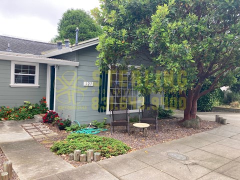 A small house with a tree in front of it.