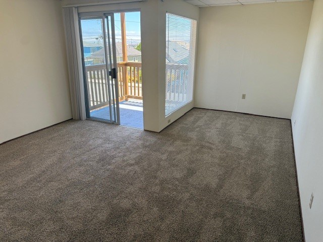 A room with a carpeted floor and a sliding glass door leading to a balcony.