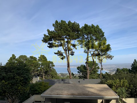 70 Forest Ridge Road #27 2 Beds Apartment for Rent