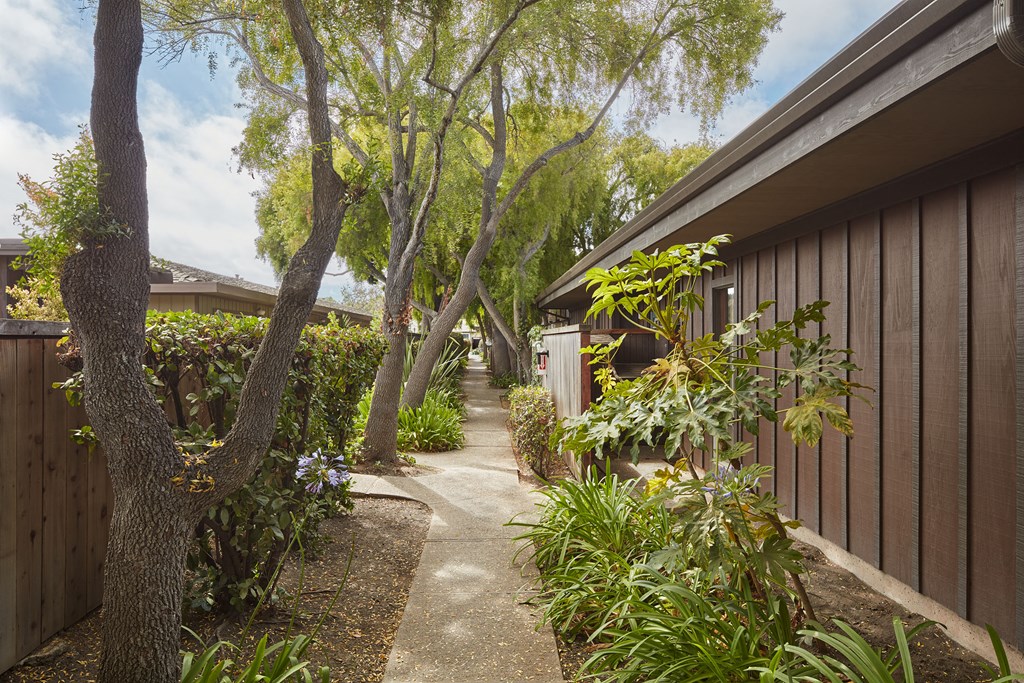 a walkway between two buildings with trees and plants