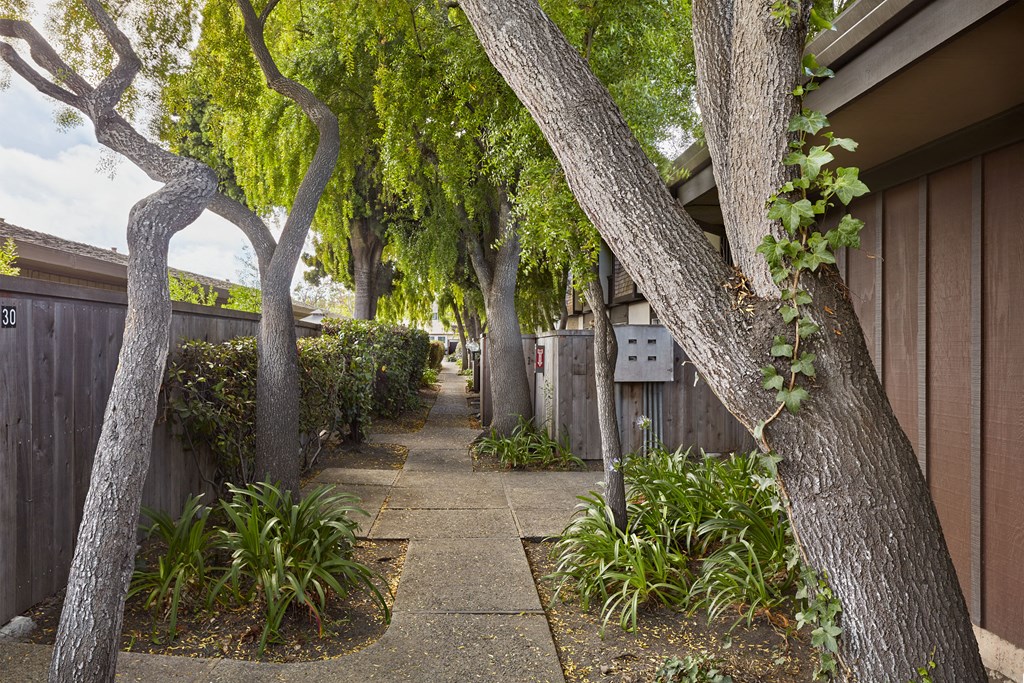 a walkway with trees and plants next to a building