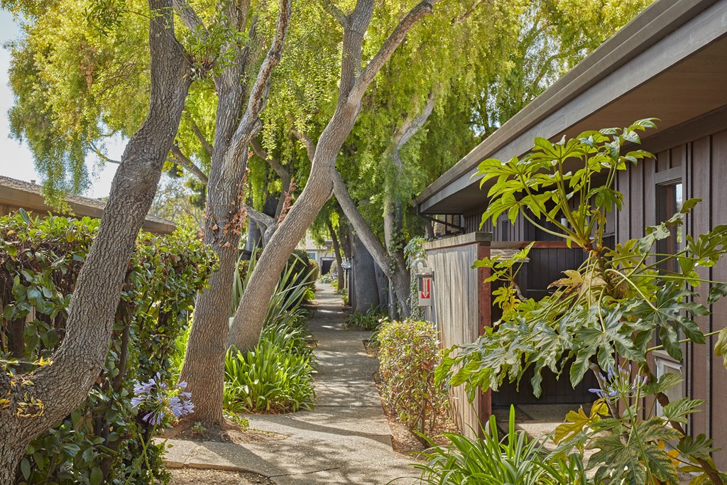 a walkway between two buildings with trees and plants