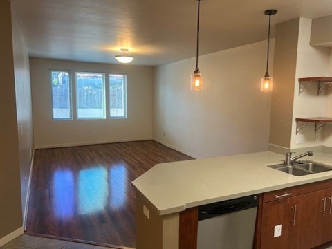 A kitchen with a dishwasher and a sink.