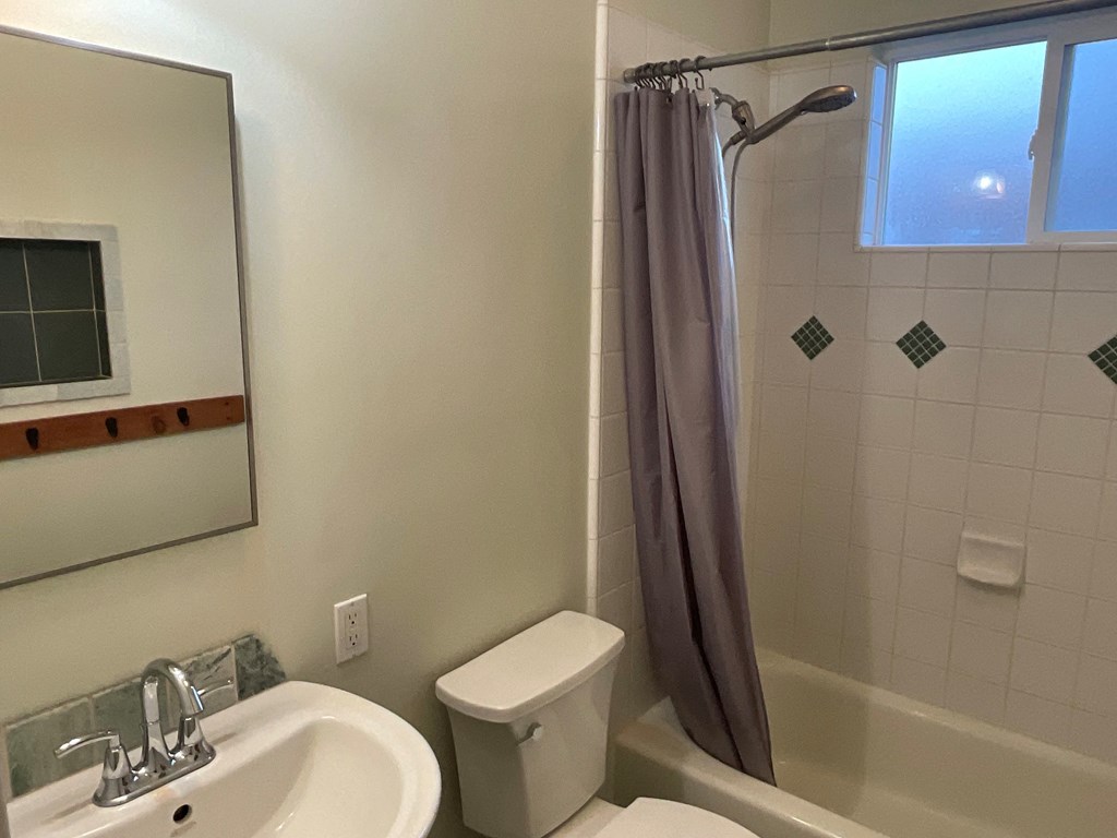 a bathroom with a toilet and a sink and a shower