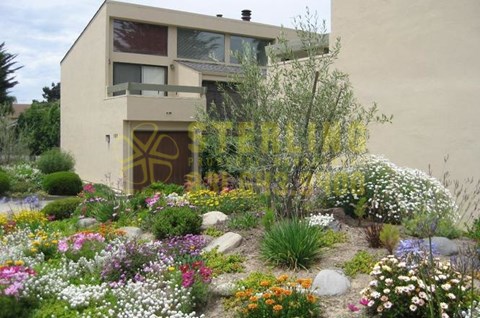 127 Montecito Avenue #09 2 Beds Apartment for Rent