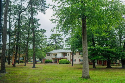 Greenery at the Estates