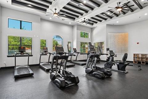 A gym with treadmills, elliptical machines, and a fan.